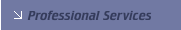 Professional Services 