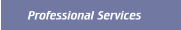 Professional Services 