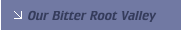 Our Bitter Root Valley